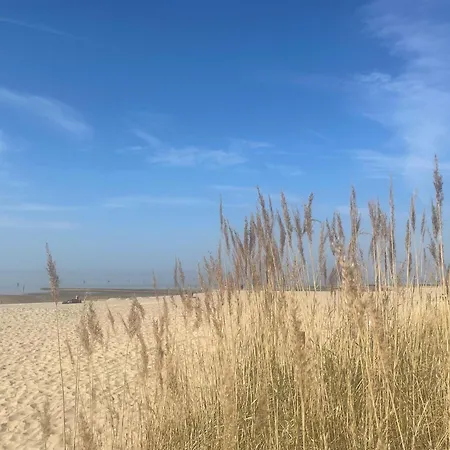 Haus Nordseebrandung 8 شقة *